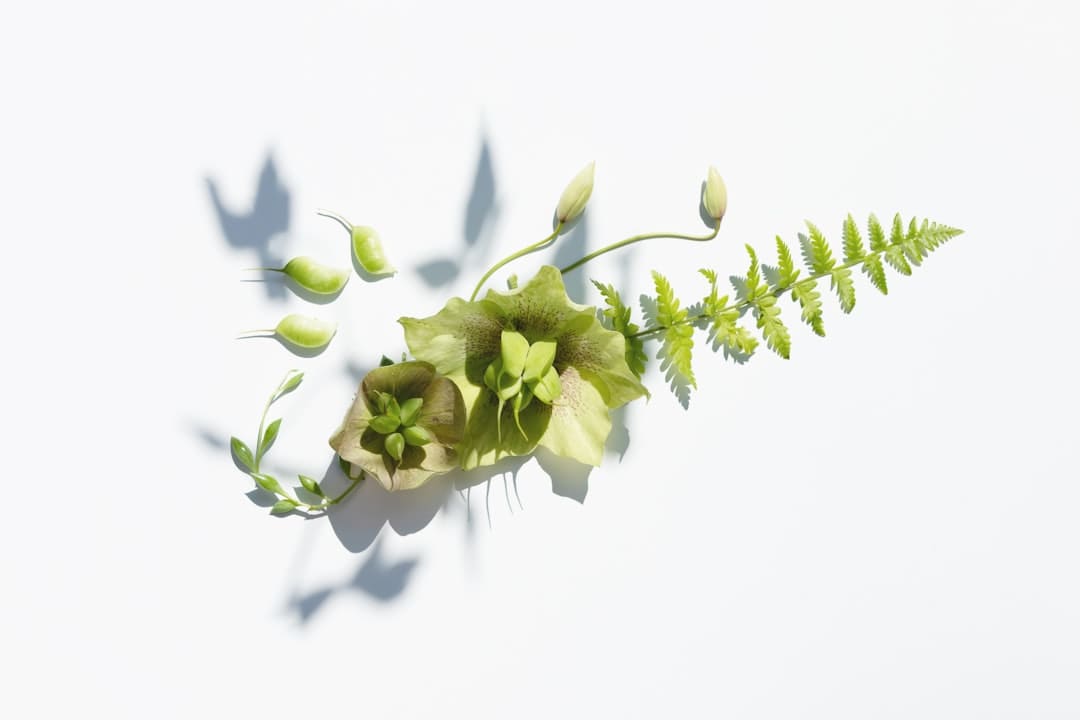 《归队》福庆角色介绍